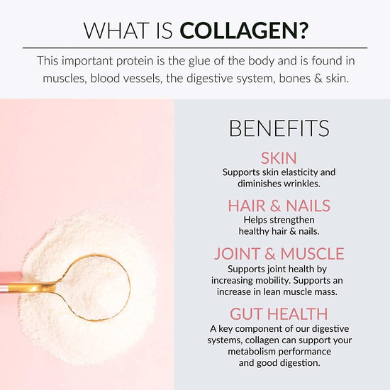 Alaya Multi Collagen Powder - Type I, II, III, V, X Hydrolyzed Collagen Peptides Protein Powder Supplement with MSM + GC (Chocolate)